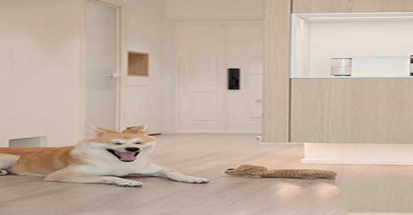 湖州吴兴区装修公司电话地址,湖州公立吴兴中学