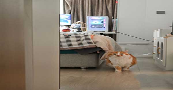 东阳市装修公司排名前十有哪些名字,装修公司起什么名字好