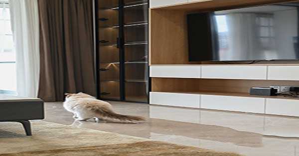 东阳装修装饰公司电话地址查询号码,东阳多少装修公司